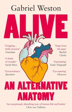 Alive: An Alternative Anatomy