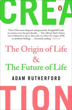 Creation: The Story of Life on Earth and How We Are About to Start it Again